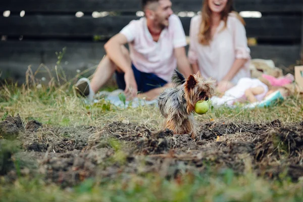 Lycklig familj på gräsmattan — Stockfoto