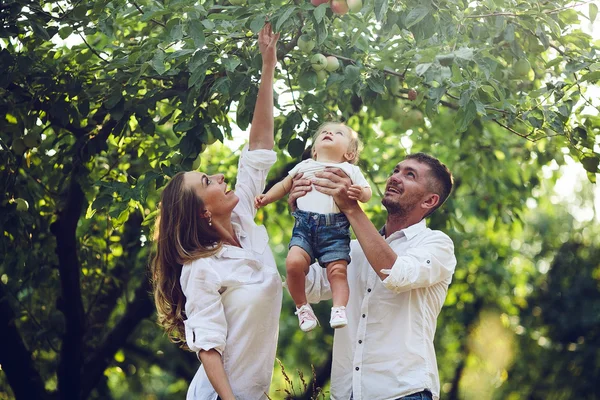 Aile yaz aylarında bir çocukla — Stok fotoğraf