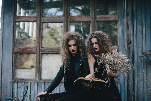 Dos hermosas brujas —  Fotos de Stock