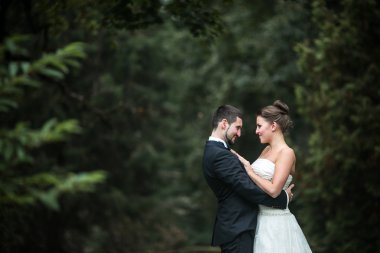 Poz güzel düğün çifti