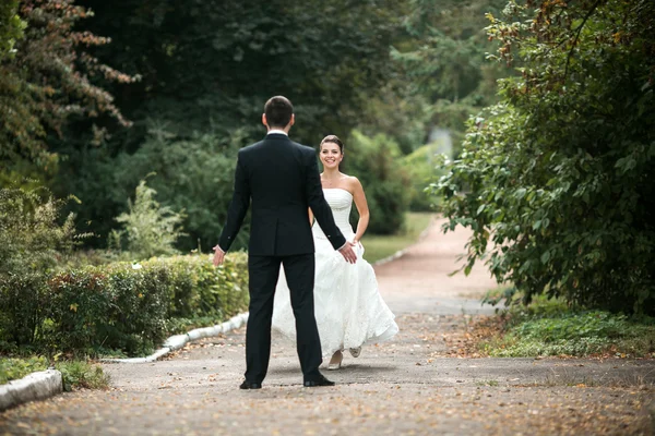 美しい結婚式のカップル — ストック写真