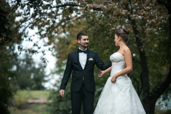 Schönes Hochzeitspaar — Stockfoto