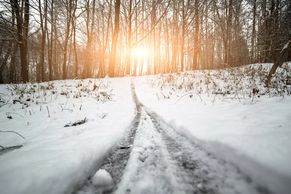 Belo pôr do sol de inverno em Cárpatos — Fotografia de Stock