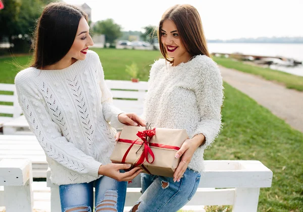 Hediyeler tutan iki güzel kız — Stok fotoğraf