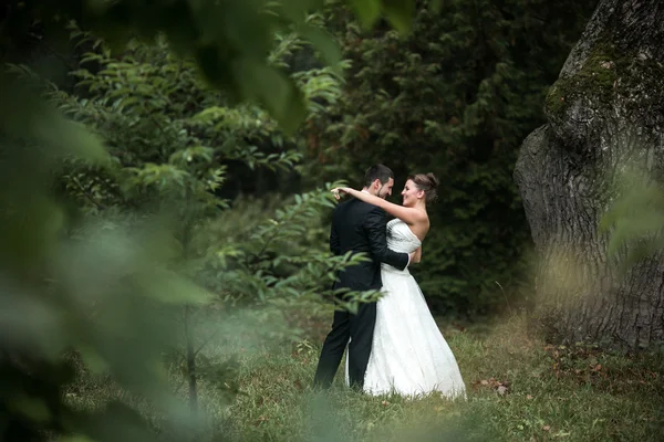 結婚式のカップルのポーズ — ストック写真