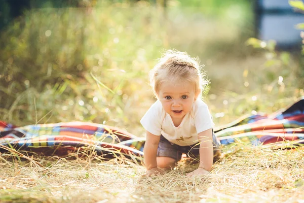 Gadis kecil merangkak di halaman — Stok Foto