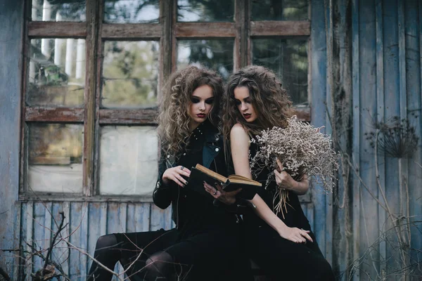 Duas bruxas vintage reuniram véspera de Halloween — Fotografia de Stock