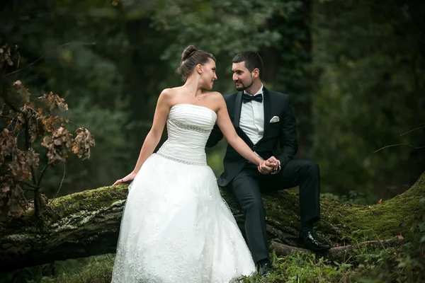 Hermosa pareja de boda sentada en el bosque —  Fotos de Stock