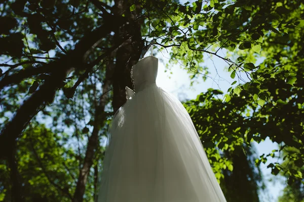 Wedding dress hanging on a tree — Stock Photo, Image