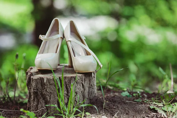 Kadın beyaz düğün ayakkabıları fotoğrafı — Stok fotoğraf