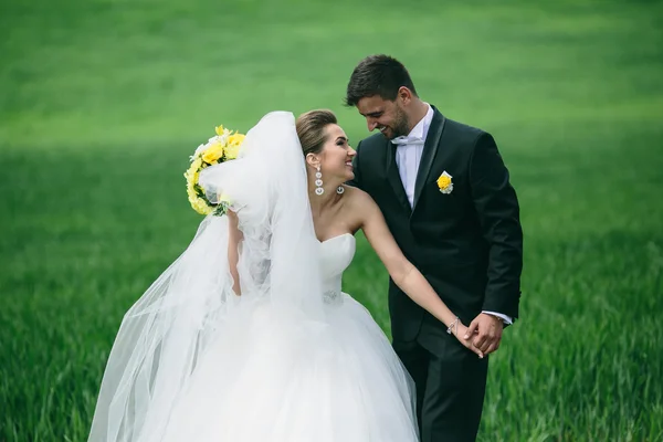 Hermosa pareja de boda en la naturaleza —  Fotos de Stock