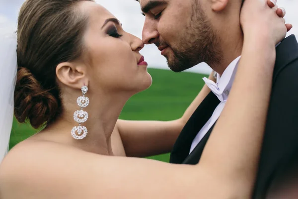 Schönes Hochzeitspaar in der Natur — Stockfoto