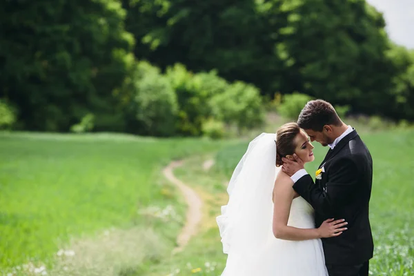 Beau couple de mariage sur la nature — Photo