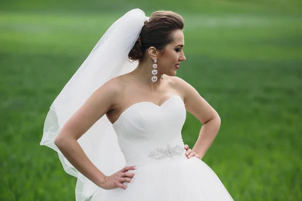 Hermosa pareja de boda en la naturaleza —  Fotos de Stock