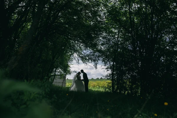 Beau couple de mariage sur la nature — Photo