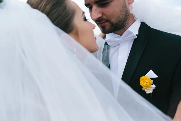 Braut und Bräutigam bei der Hochzeit — Stockfoto