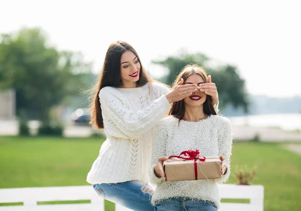 İki güzel kızlar ve Hediyelik — Stok fotoğraf