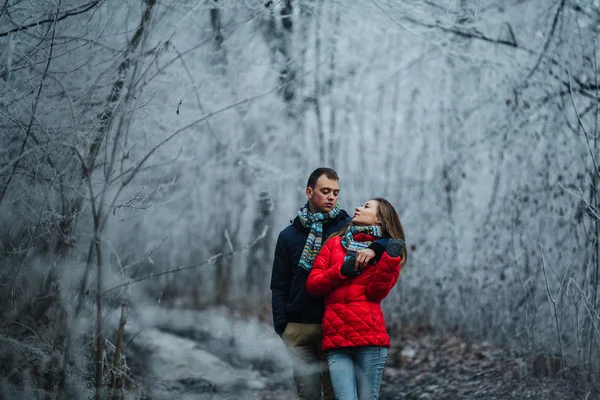 Pareja caminando en un parque de invierno — Foto de Stock