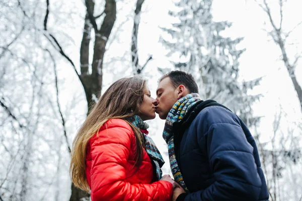 Beso en el bosque de invierno — Foto de Stock