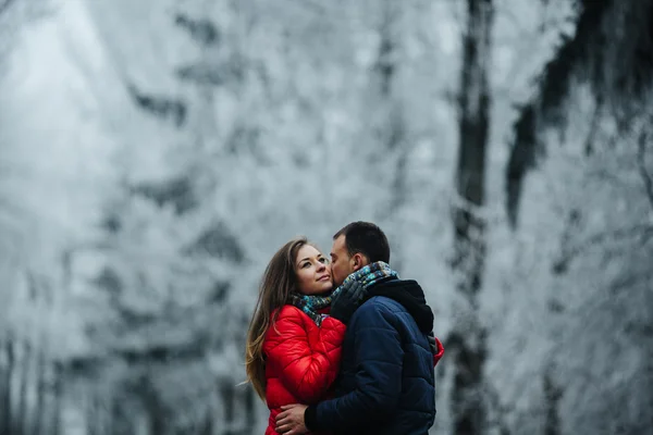 Par går på en vinter park — Stockfoto