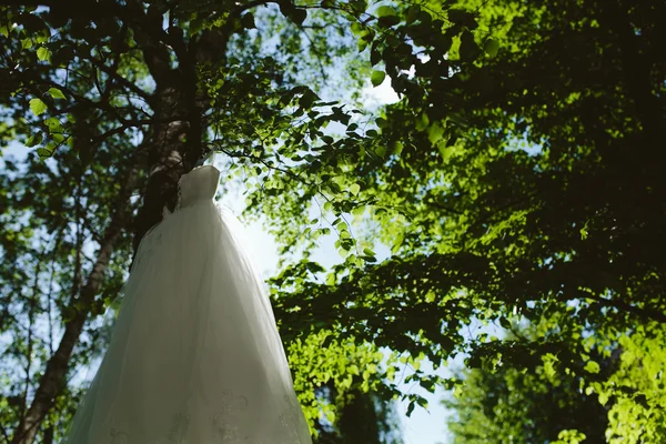 Abito da sposa appeso ad un albero — Foto Stock