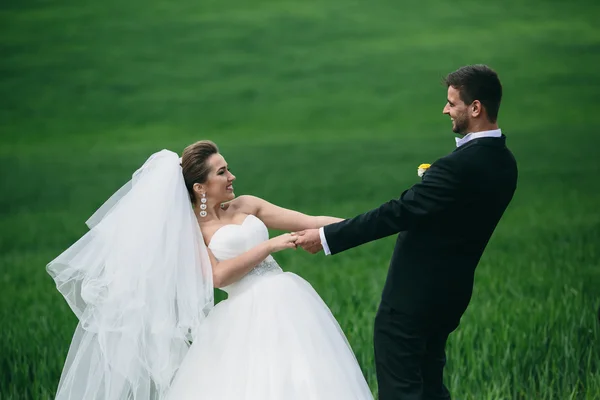 Schönes Hochzeitspaar in der Natur — Stockfoto