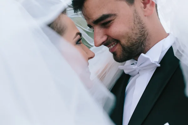 Sposo e sposo al matrimonio — Foto Stock