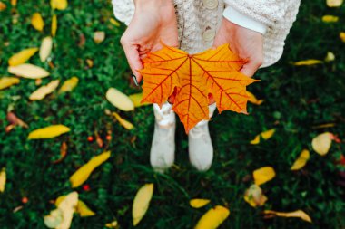 Sonbahar yaprakları kızların elinde