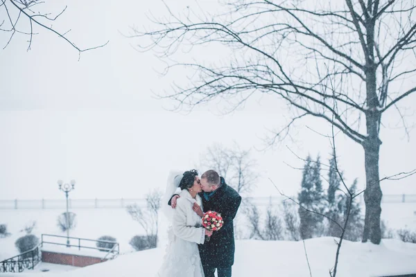 Novia y novio en el fondo de una ciudad de invierno — Foto de Stock