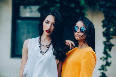 İki güzel arkadaş beyaz arka plan üzerinde poz