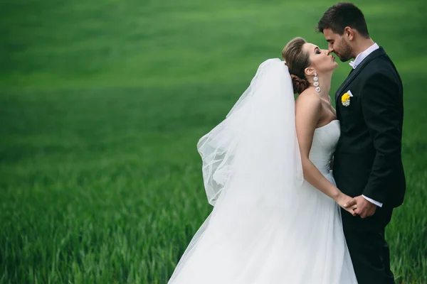 Casal bonito na natureza — Fotografia de Stock