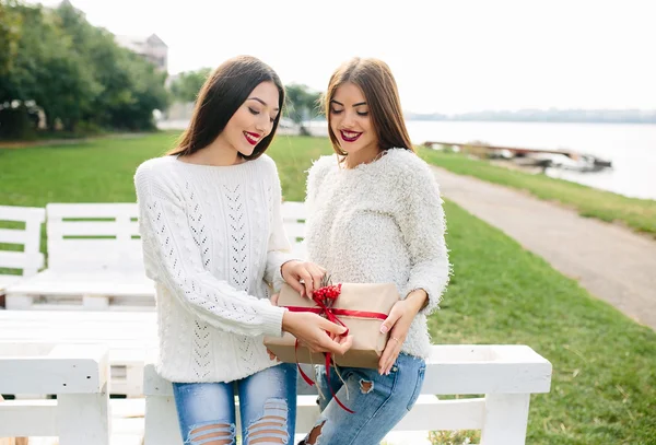 Две красивые девушки с подарками — стоковое фото
