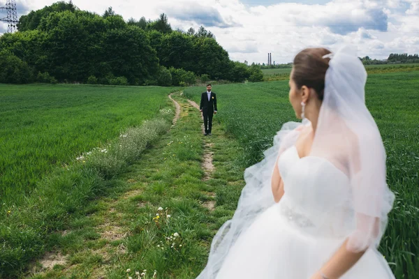 Vackra bröllopsparet på naturen — Stockfoto