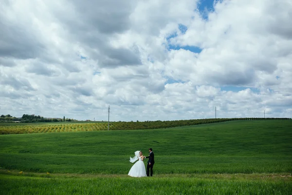 自然の美しい結婚式のカップル — ストック写真