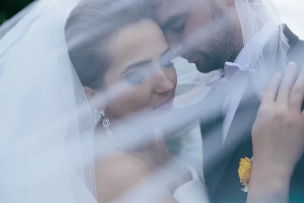 Bride and groom at the wedding — Stock Photo, Image