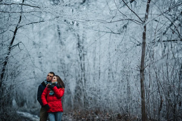 Paar spaziert auf einem Winterpark — Stockfoto