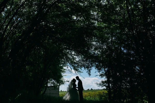 自然の美しい結婚式のカップル — ストック写真