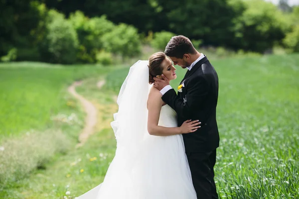 Hermosa pareja de boda en la naturaleza —  Fotos de Stock