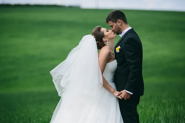 Hermosa pareja de boda en la naturaleza —  Fotos de Stock