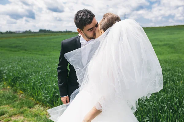 美丽的新婚夫妇在性质上 — 图库照片