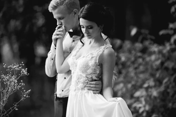 Bruidegom zijn bruid zachtjes omarmen — Stockfoto