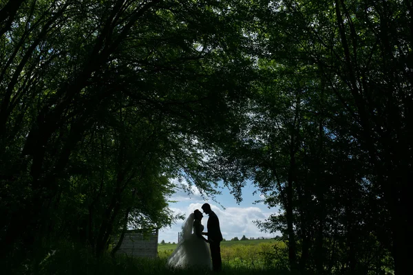 Schönes Hochzeitspaar in der Natur — Stockfoto