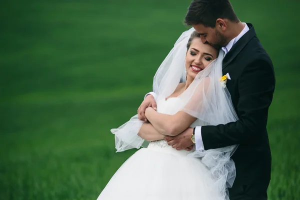 Hermosa pareja de boda en la naturaleza — Foto de Stock