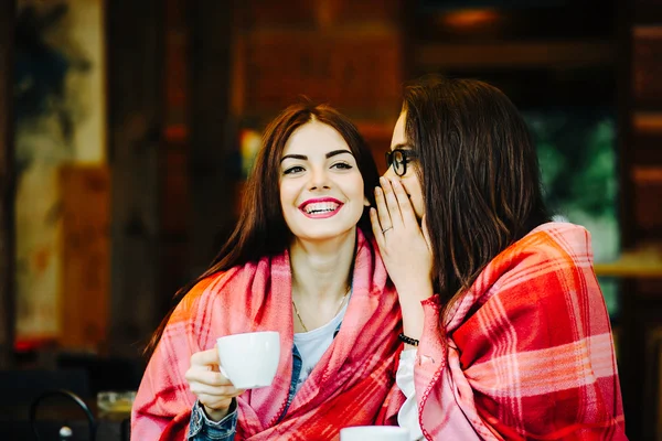 Duas meninas jovens e bonitas fofocando — Fotografia de Stock