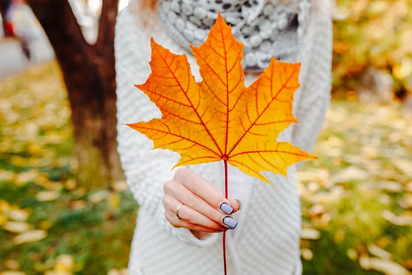 Herbstblätter in Mädchenhänden — Stockfoto