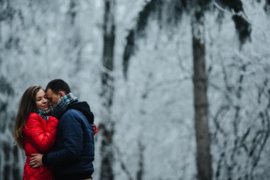 bir kış parkın yürüme Çift
