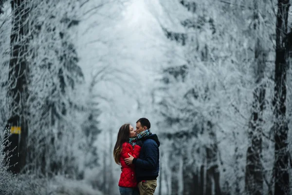 Пара, гуляющая по зимнему парку — стоковое фото