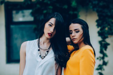 İki güzel arkadaş beyaz arka plan üzerinde poz