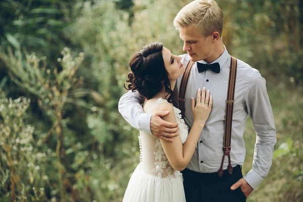Novio abrazando suavemente a su novia —  Fotos de Stock
