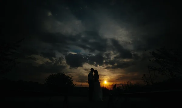 Silueta de pareja de boda en el campo — Foto de Stock